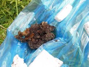 Vykopali jsme hřbitov odpadků